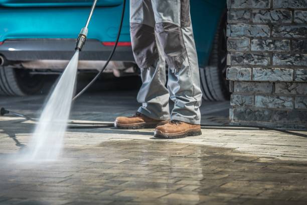 Best Building Exterior Washing  in Steger, IL