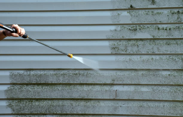 Best Sign and Awning Cleaning  in Steger, IL