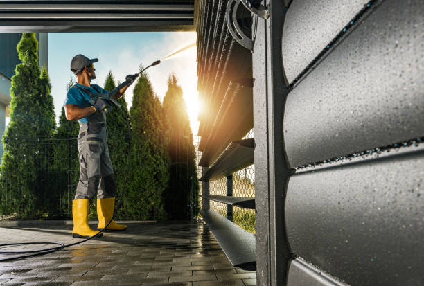 Best Sidewalk and Walkway Cleaning  in Steger, IL
