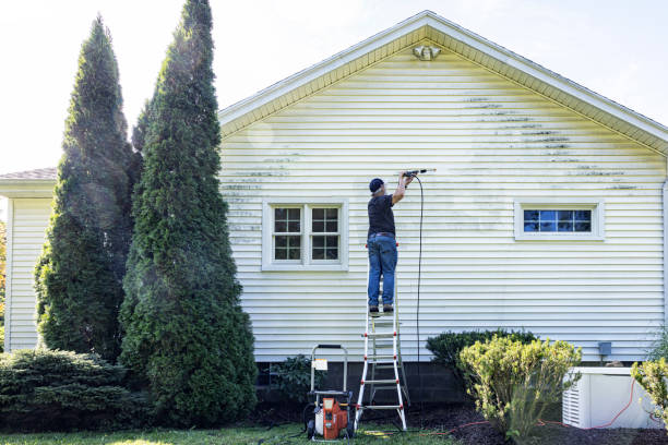 Best Solar Panel Cleaning  in Steger, IL